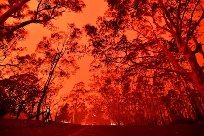 El cielo de la tarde se pone rojo por los incendios forestales en el área alrededor de la ciudad de Nowra en el estado australiano de Nueva Gales del Sur el 31 de diciembre de 2019. Miles de turistas y locales se vieron obligados a huir a las playas en el sureste de Australia.