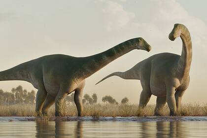 El Cienciargentina sanchezi