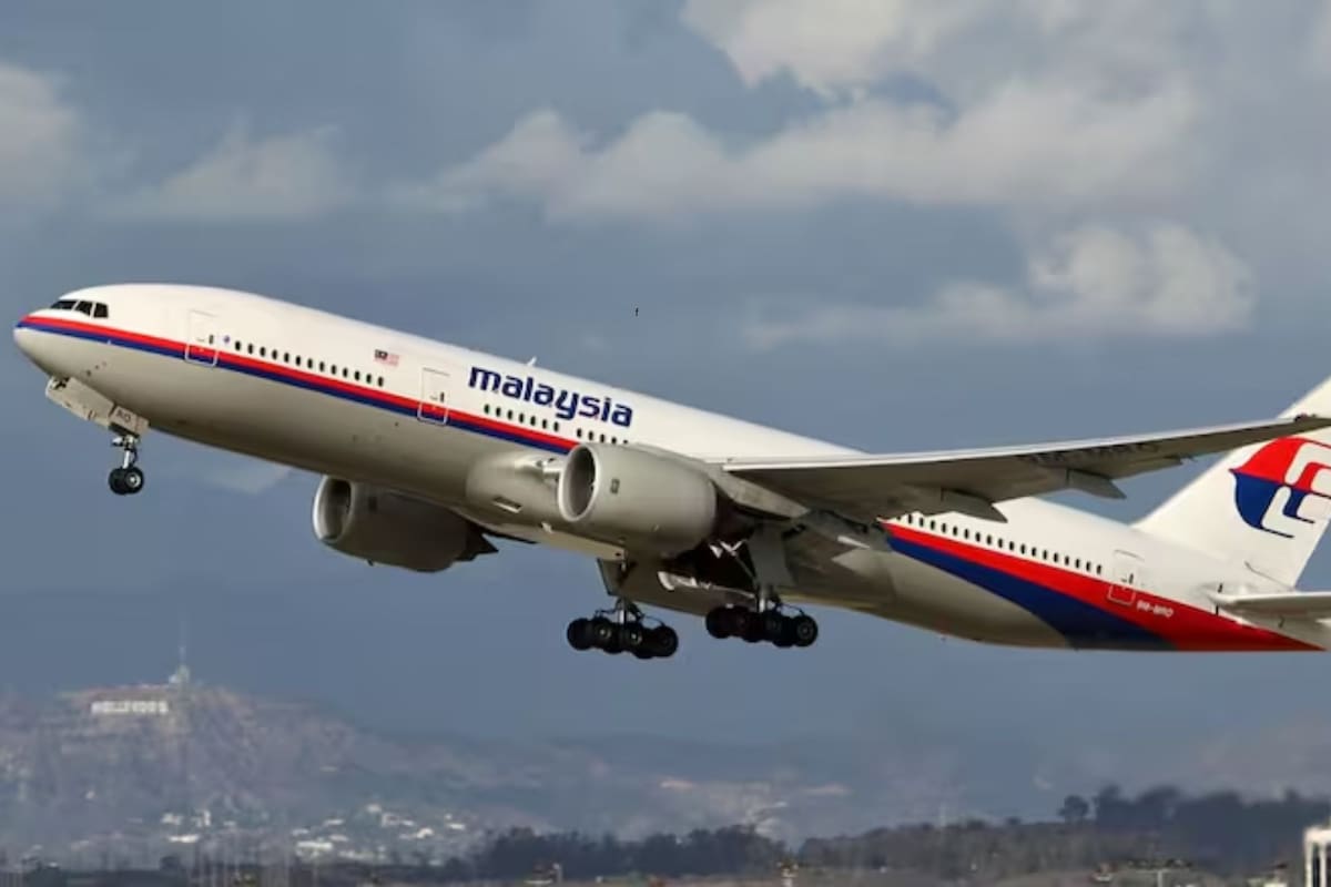 El científico aseguró saber lo que pasó con el vuelo desaparecido