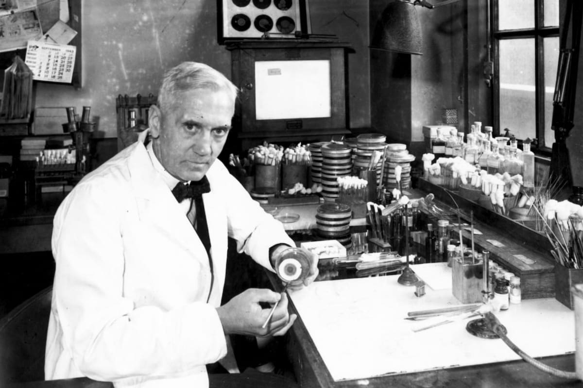 El científico británico Alexander Fleming fue quien descubrió que las esporas de un hongo eran capaces de destruir bacterias. Fuente: Wikipedia.