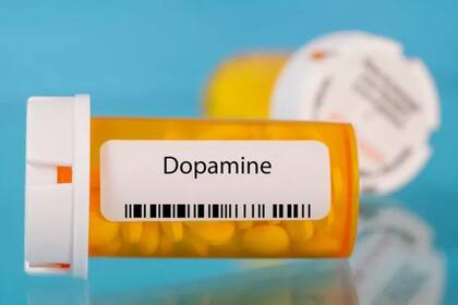 El científico contó que desde hace unos 20 años hace experimentos con humanos, manipulando los niveles de dopamina en el cerebro, observando el placer y el deseo, y la diferencia entre desear y gustar.