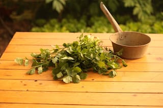 La poderosa hierba aromática y bactericida que extermina el mal aliento