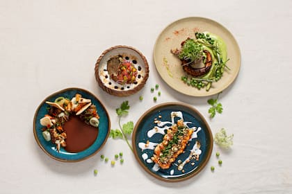 El cilantro va muy bien con los pescados, sobre todo frescos. Así como con el tomate, la palta y el ajo