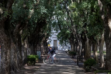 El circuito histórico se limita a 20 manzanas ubicadas alrededor de la calle Mitre que puede recorrerse a pie.