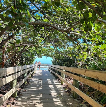 El clima cálido y tropical y las impactantes playas de Melbourne son uno de sus más grandes atractivos