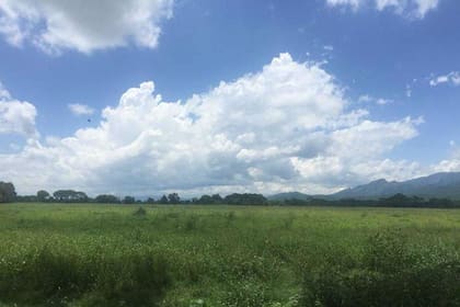 El clima en la "Finca El Pongo" se presta para el cultivo