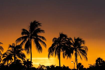 El clima tropical de MIami prevalece durante casi todo el año