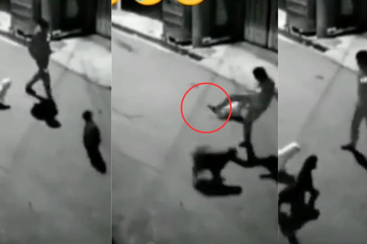 El clip fue compartido a través de la red social X (Foto: X: @MemetecaOficial)