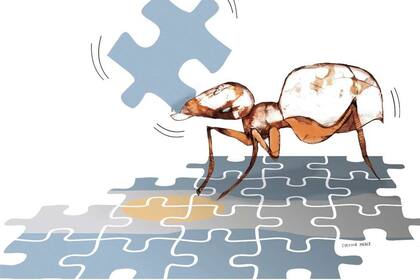 El Club Político Argentino cumple diez años dedicado al debate pluralista de la actualidad nacional