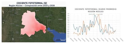 El cociente fototermal, que relaciona radiación y temperatura, muestra que las condiciones para el trigo fueron menos favorables este invierno que durante la campaña pasada