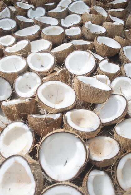 El coco está repleto de nutrientes beneficiosos como grasas saludables, antioxidantes, vitaminas y minerales