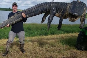 El cocodrilo había cazado durante años el ganado de los granjeros