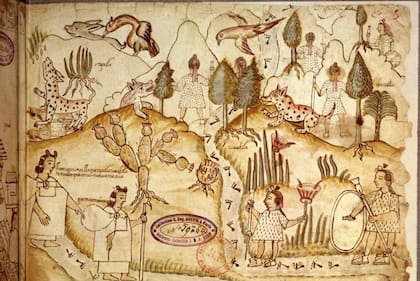 El Códice de Azcatitlán, en el que se observan a los aztecas cruzando las montañas cubiertas de vegetación, entre la que se ven nopales.