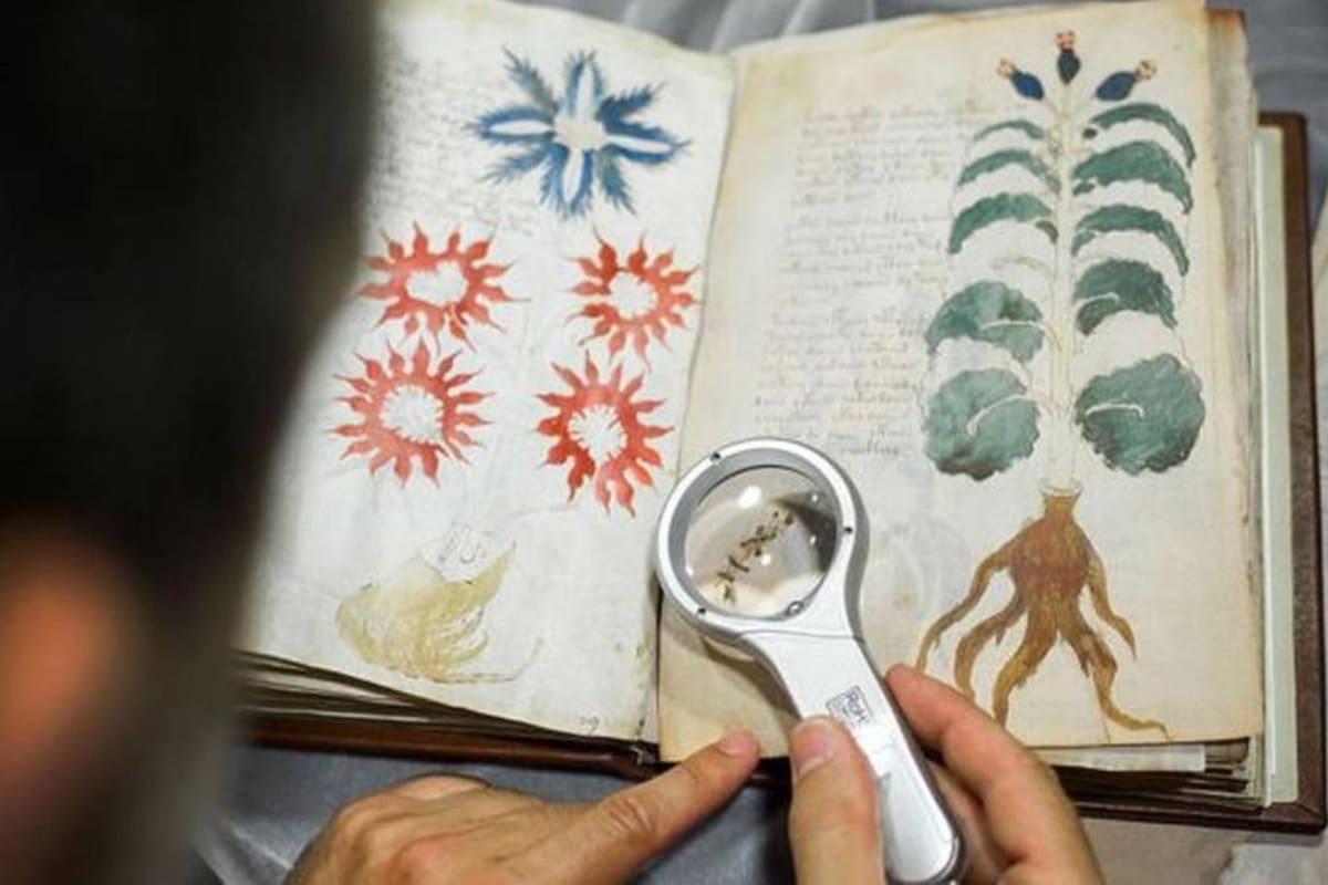 El código Voynich fue abordado a lo largo de los años por criptógrafos, lingüistas, filólogos, bibliófilos y eruditos de diversos campos, pero nadie pudo descifrar el significado de su contenido