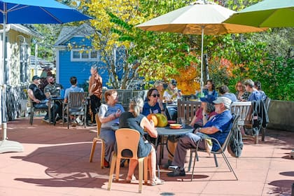 El cohousing plantea vivir en comunidad, conservando la independencia que da un departamento privado, pero con un gran menú de zonas comunes de intercambio social