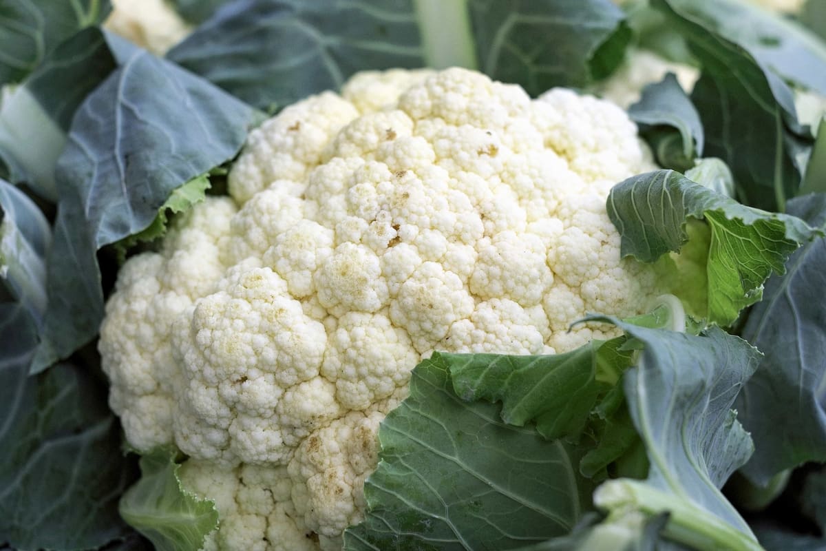 El coliflor, uno de los alimentos que más evitan los chicos, es también uno de los más saludables