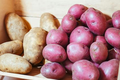 El color de las patatas determina qué tan saludables son (Pexels/Kindel Media)
