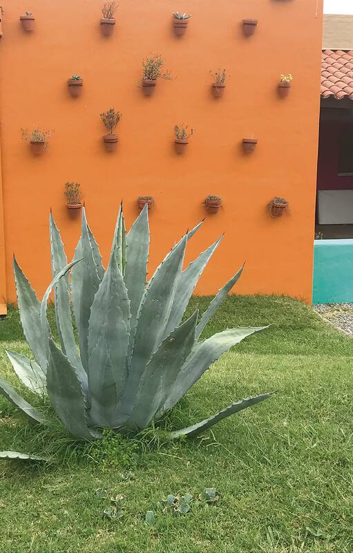 El color en los muros resalta el verde del paisaje