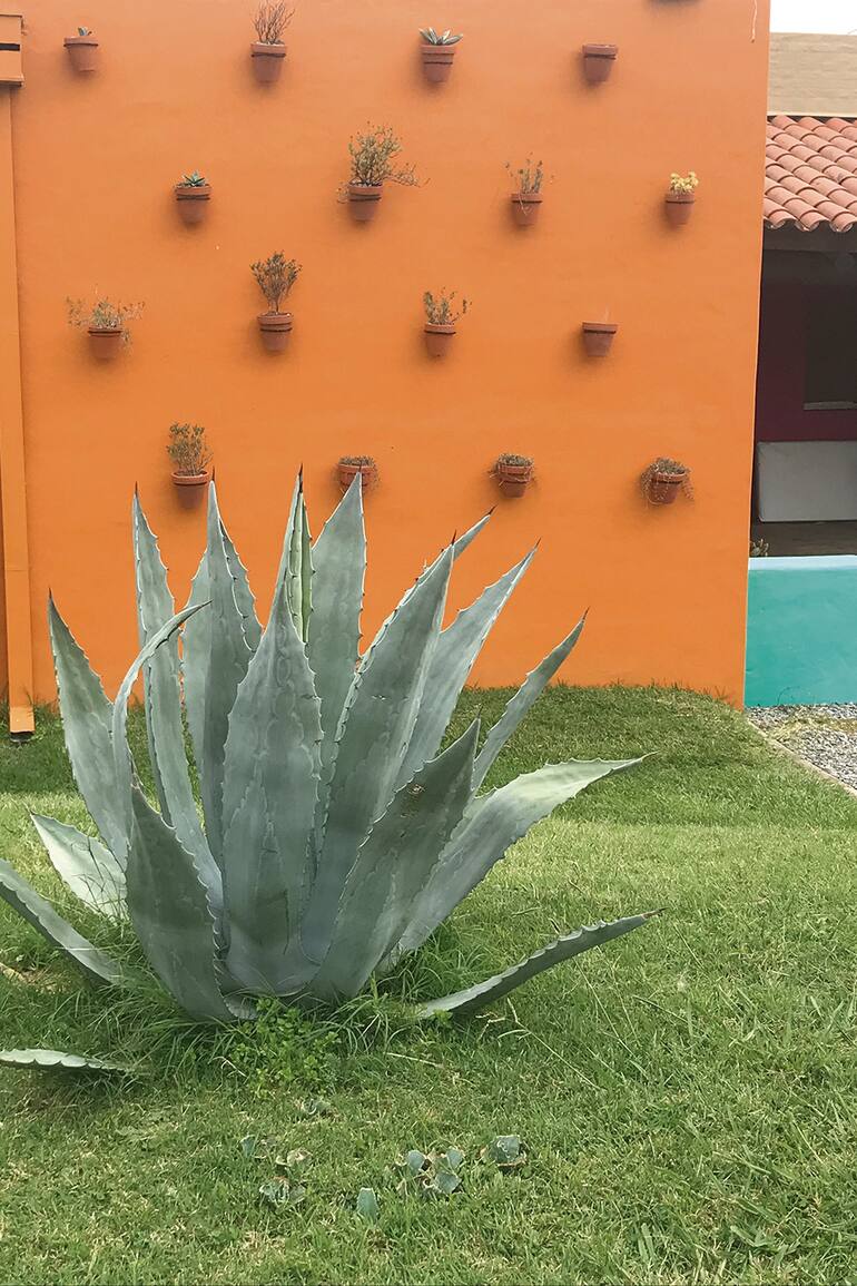 El color en los muros resalta el verde del paisaje