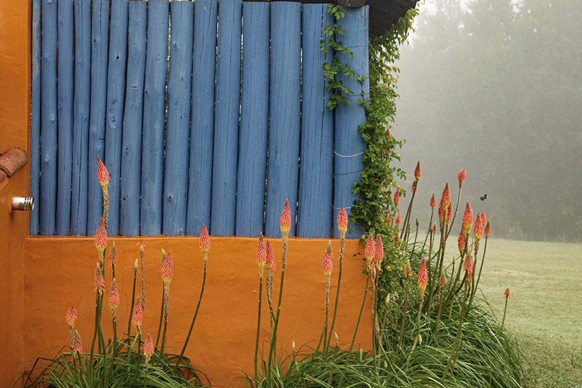El color en los muros resalta el verde del paisaje