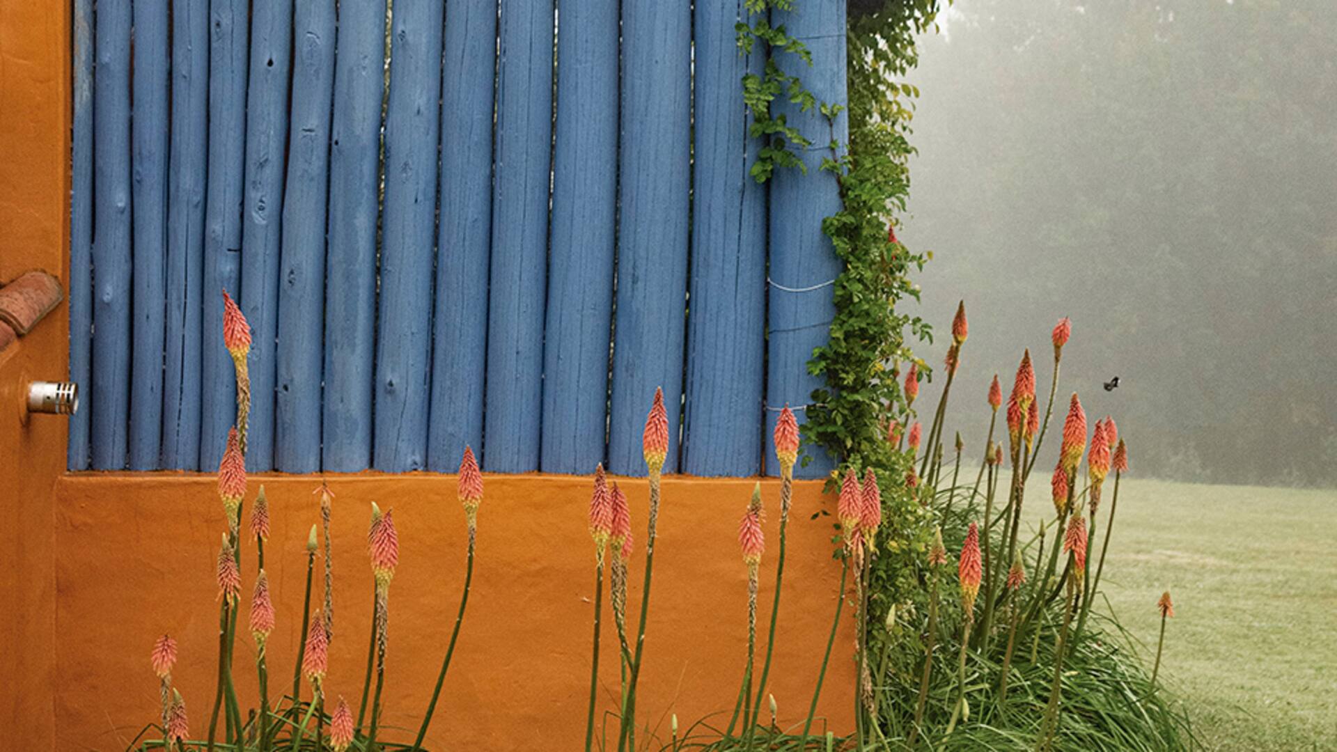 El color en los muros resalta el verde del paisaje