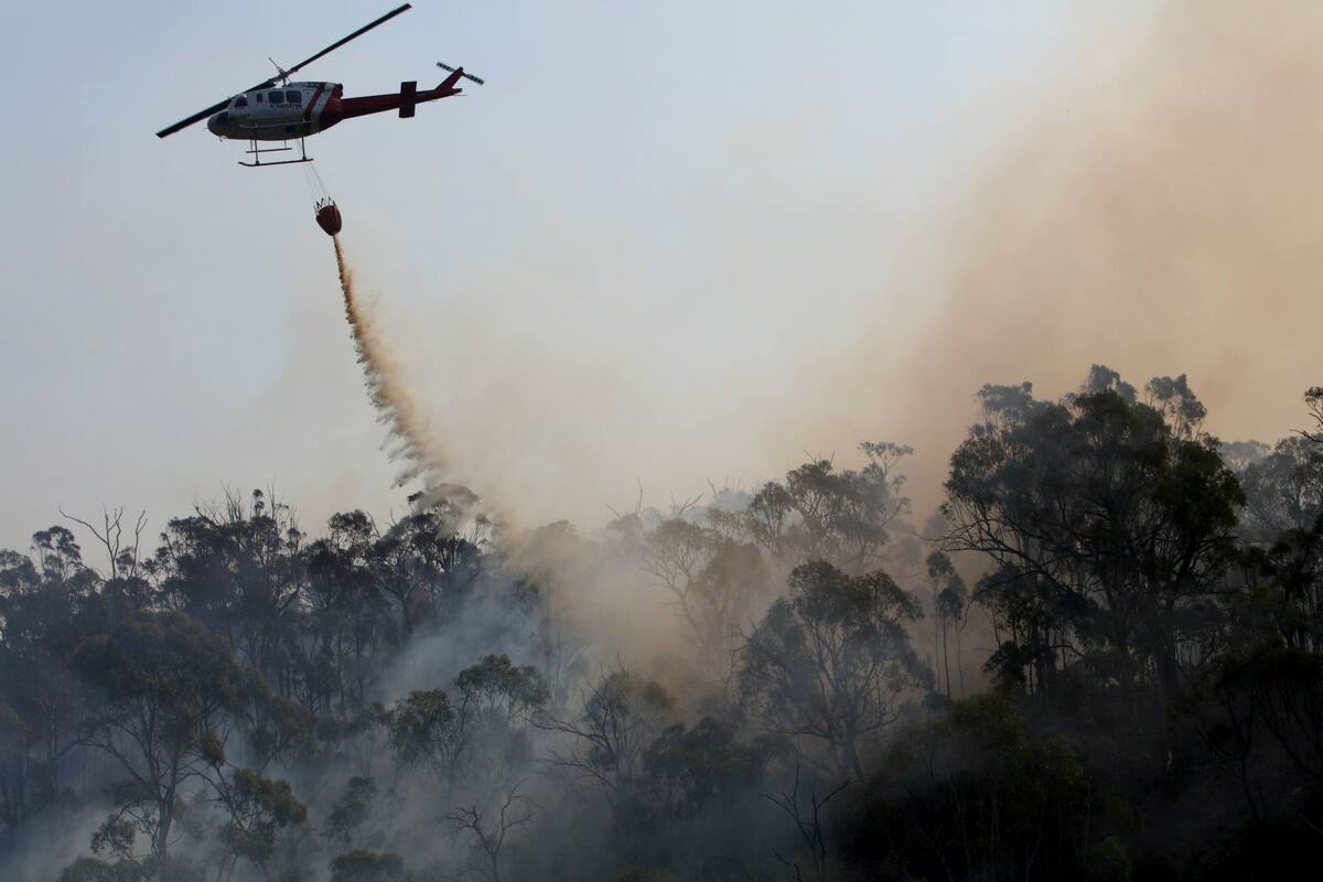 El combate contra las llamas en el Alpine National Park