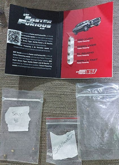 El combo de drogas "Faster & Furious" incautado