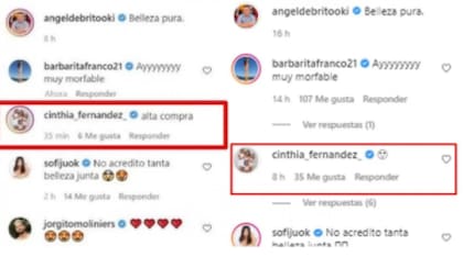 El comentario que luego fue borrado. Fuente: Instagram.