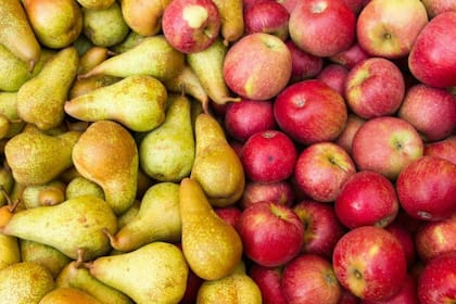 El comercio de estas frutas con Brasil es clave