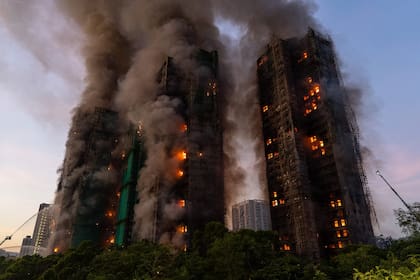 El complejo de edificios tiene aproximadamente 2000 departamentos
