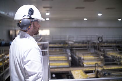 El Complejo Industrial Famaillá de la empresa San Miguel en la provincia de Tucumán