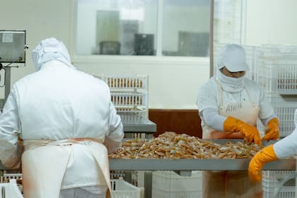 El complejo pesquero generó exportaciones por US$1416,3 millones en los siete meses del año, según los datos del CAA