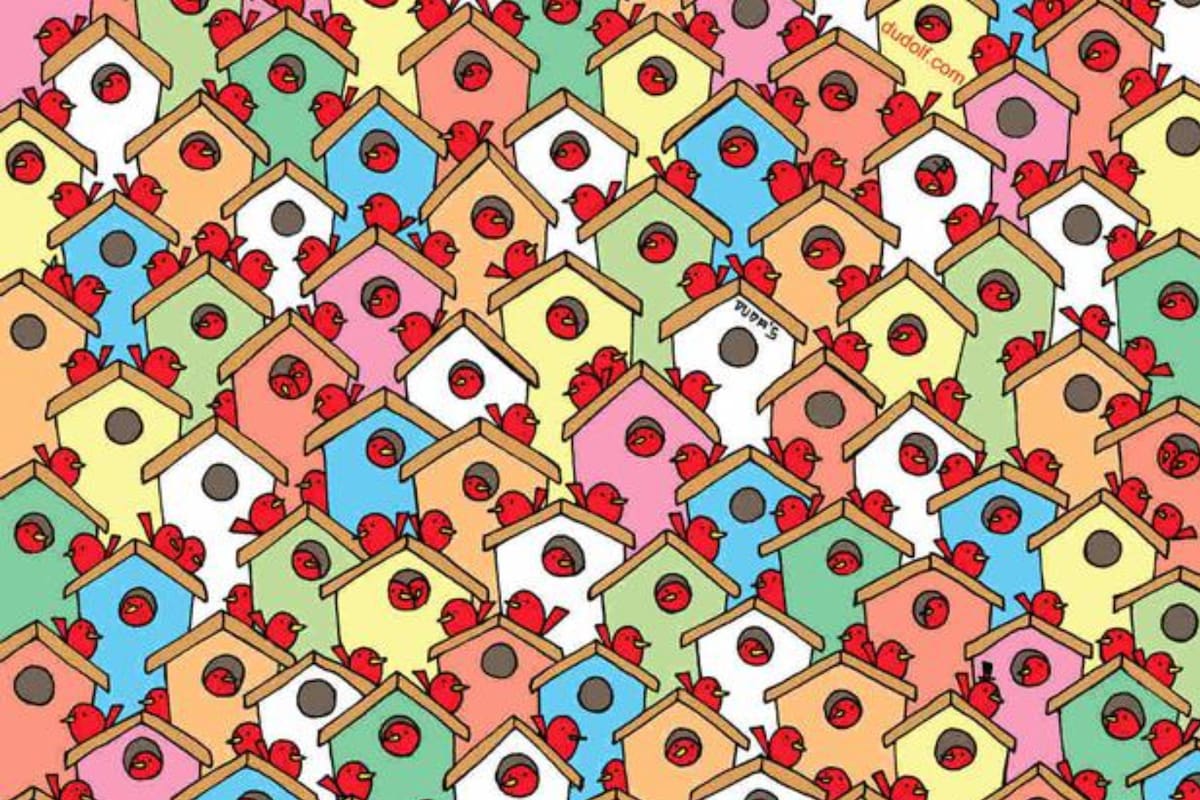 El complicado acertijo visual de las manzanas que se viralizó