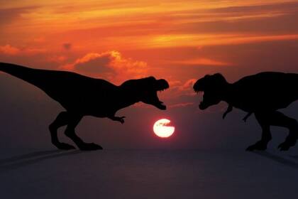 El comportamiento sexual de los dinosaurios sigue estando en las sombras