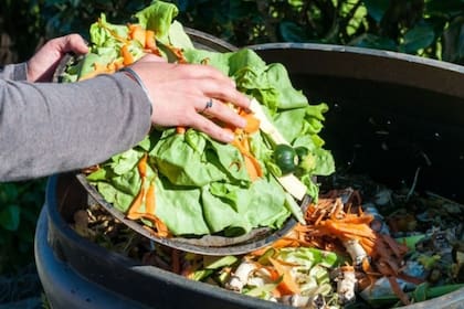 El compostaje es una forma de cuidar el medioambiente desde casa
