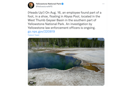 El comunicado de Yellowstone sobre el pie hallado en sus aguas