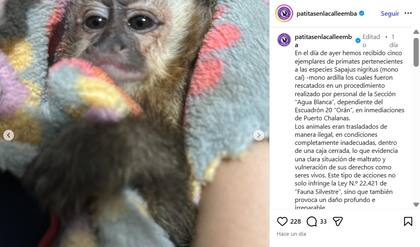 El comunicado oficial del refugio salteño