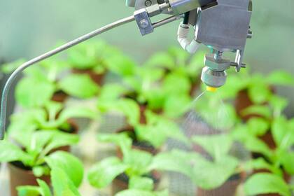 El concurso busca acelerar a los emprendedores