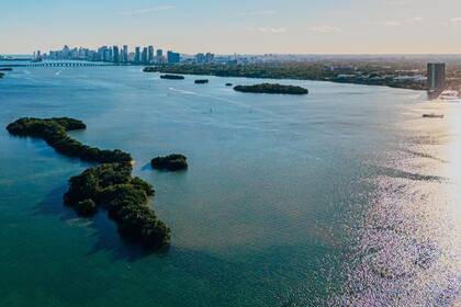 El condado de Miami-Dade realizó una oferta para comprar la isla el año pasado y perservarla ecológicamente, pero el propietario la rechazó