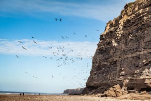 El Cóndor: ideal para ver miles de loros barranqueros