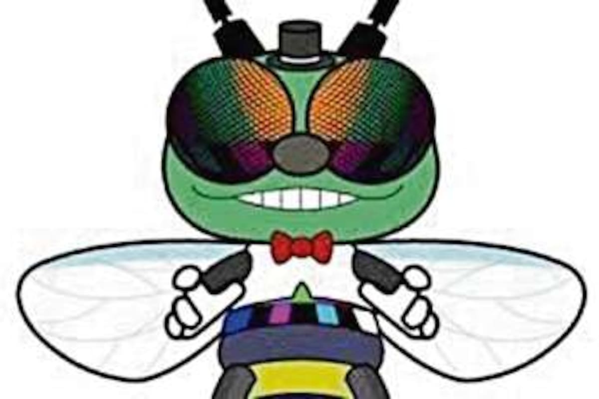 El conductor virtual del programa