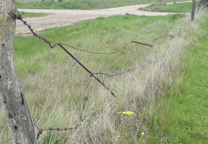 El conflicto se agravó después de que productores denunciaran más de 40 hechos vinculados con el robo y la faena clandestina de animales, además de cortes en más de 1100 metros de alambrados y cercos eléctricos y cámaras de seguridad baleadas