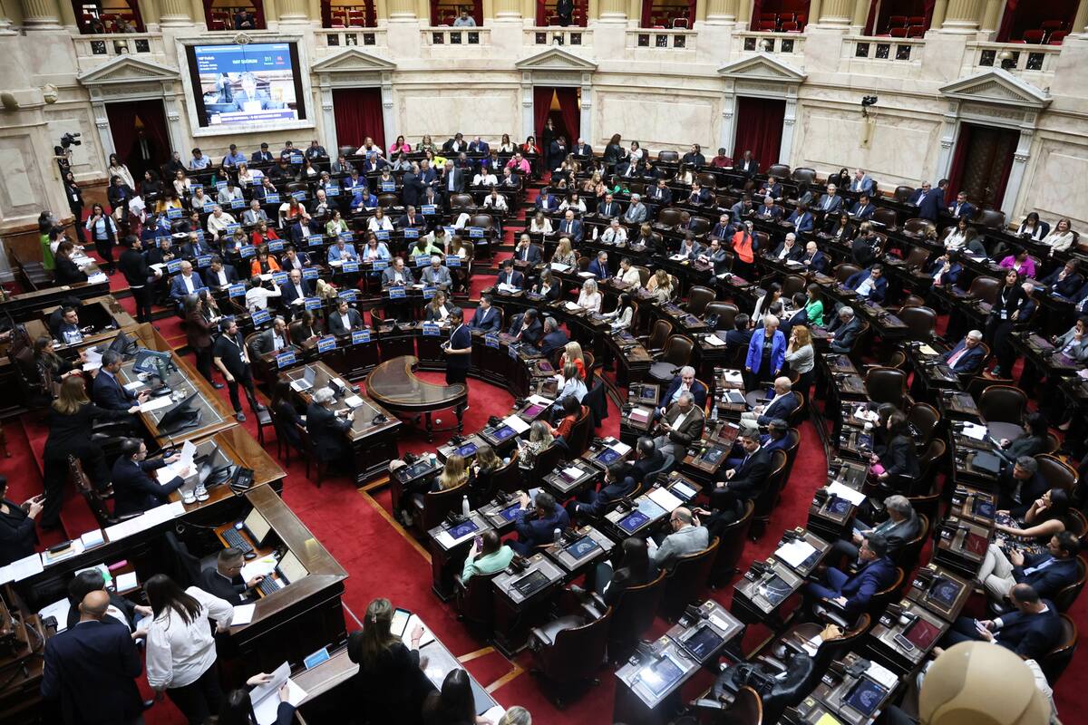 El Congreso de la Nación