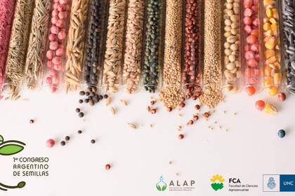 El Congreso de Semilla se va a desarrollar el 3 y 4 de noviembre de manera virtual