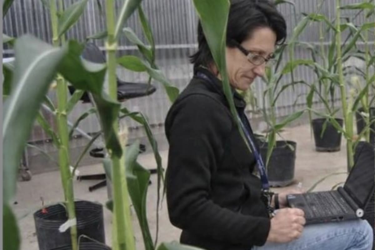 El Conicet despidió a la investigadora Maria Elena Otegui