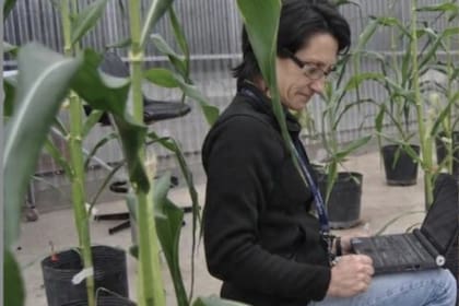 El Conicet despidió a la investigadora Maria Elena Otegui