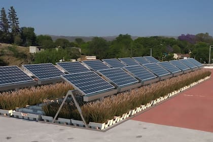 El Conicet y la Universidad Catóilca de Córdoba patentaron un sistema modular para crear techos biosolares, que combinan paneles solares y plantas nativas con un sistema de montaje sencillo y bajo mantenimiento