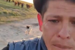 El conmovedor video estremeció a todos en las redes sociales