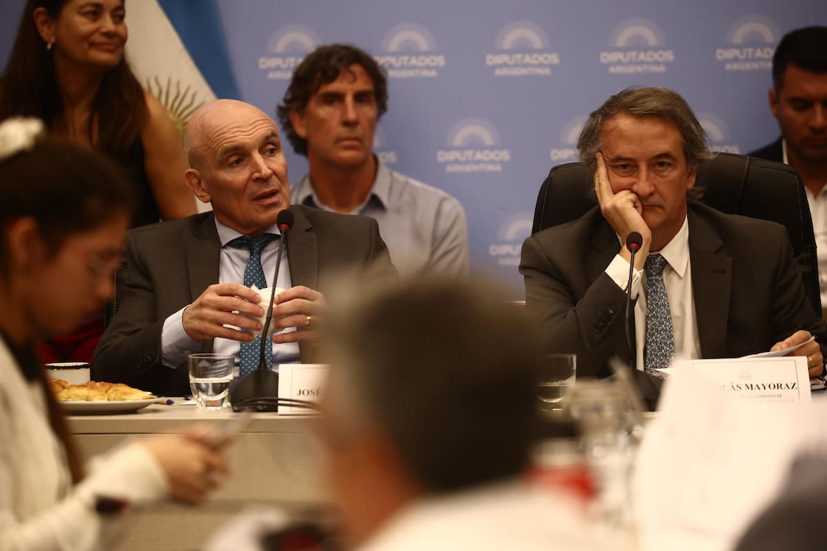 El Consejo Agroindustrial Argentino (CAA) instó a los legisladores para que no acompañen el aumento de las retenciones