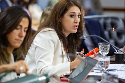 El Consejo de la Magistratura